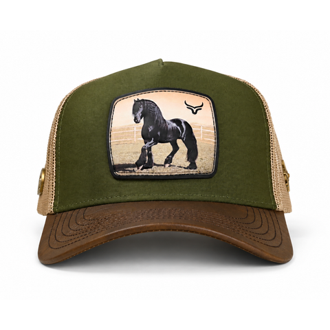 RANCH & CORRAL ESPECIAL CE085 FRISON, vista frontal