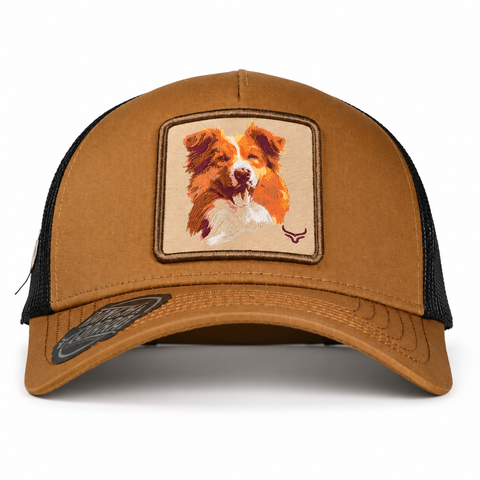 RANCH & CORRAL DOG BREEDS - frontal - 848910117