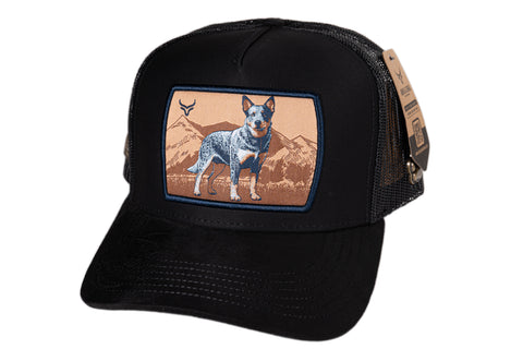 (PREVENTA) RANCH & CORRAL DROP GT RCDB27