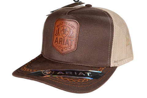 ARIAT ELITE PLUS