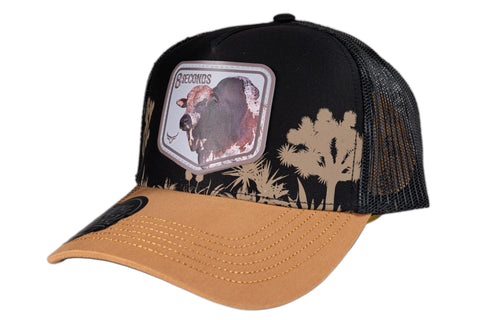 RANCH & CORRAL 17 NUEVO DROP