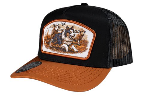 RANCH & CORRAL RCDB24
