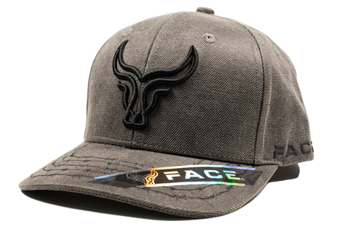 FACE LONA ENCERADA GRIS