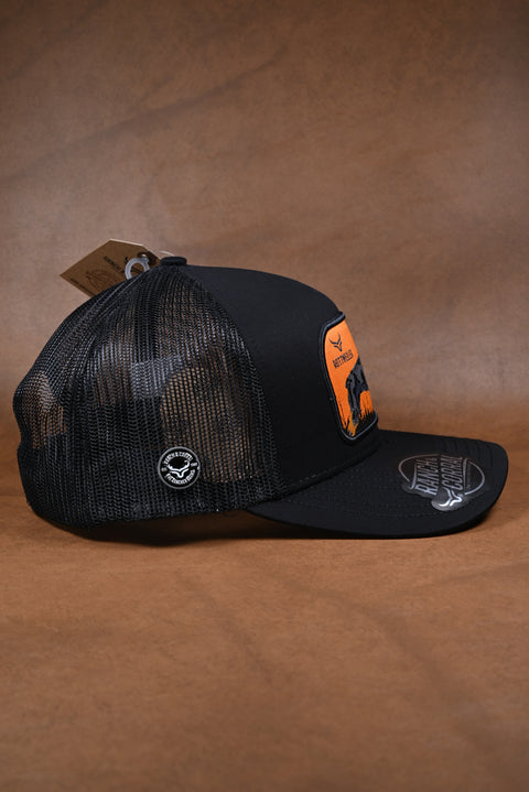 RANCH & CORRAL DOG BREEDS RCDB15