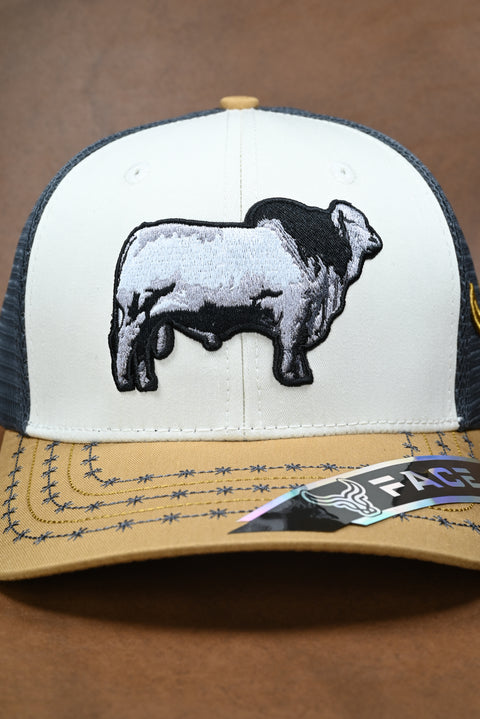 FACE BRAHMAN MOSTAZA/CREMA/GRIS