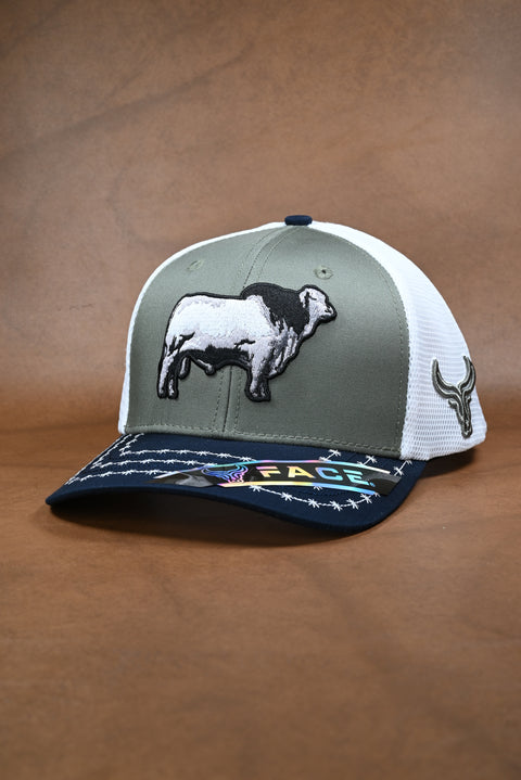 FACE BRAHMAN MARINO/OLIVO/BLANCO