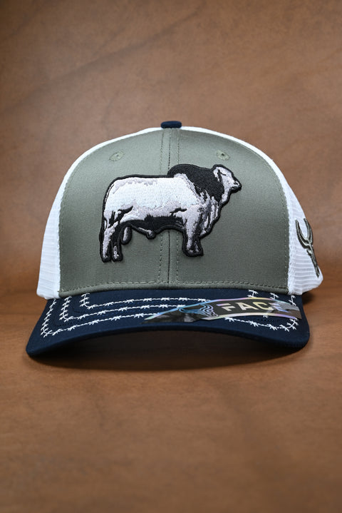 FACE BRAHMAN MARINO/OLIVO/BLANCO