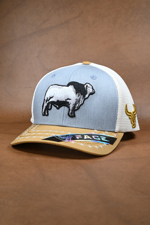 FACE BRAHMAN MOSTAZA/GRIS/CREMA