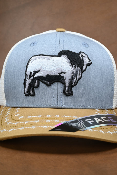 FACE BRAHMAN MOSTAZA/GRIS/CREMA