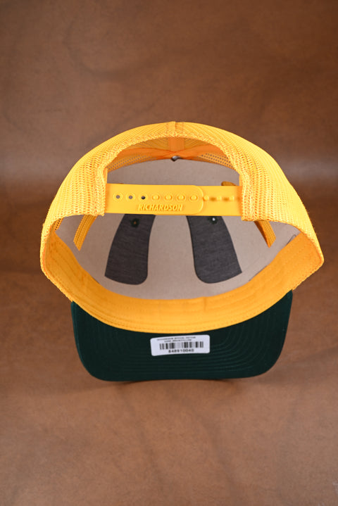 RICHARDSON AJUSTABLE VERDE/AMARILLO