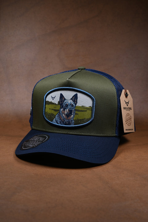 RANCH & CORRAL DOG BREEDS BLUE HEELER RCDB23