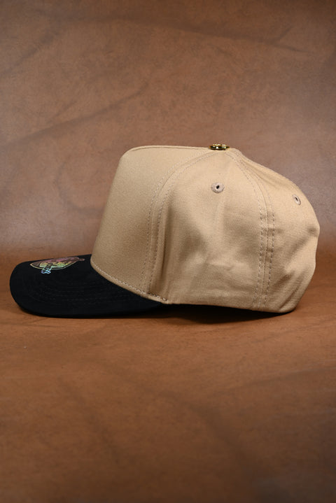 FRANCO CABASSI NEGRO/BEIGE VISERA GAMUZA