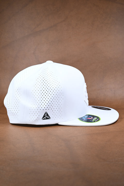 KIMES RANCH ELITE VICERA PLANA