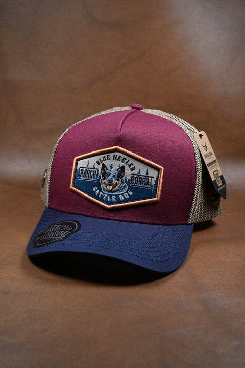 RANCH & CORRAL ESPECIAL CE088 BLUE HEELER