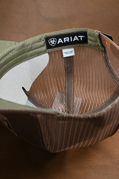 ARIAT BASIC