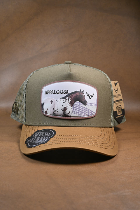 RANCH & CORRAL 2026 Equus 59