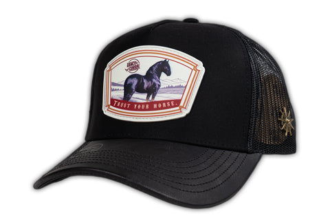 (PREVENTA) RANCH & CORRAL DROP GT RCE65