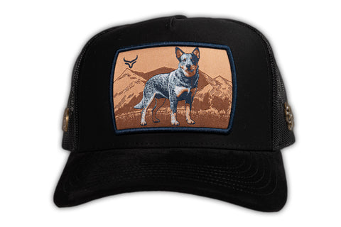 (PREVENTA) RANCH & CORRAL DROP GT RCDB27