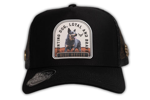(PREVENTA) RANCH & CORRAL DROP GT RCDB31