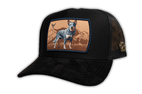 (PREVENTA) RANCH & CORRAL DROP GT RCDB27