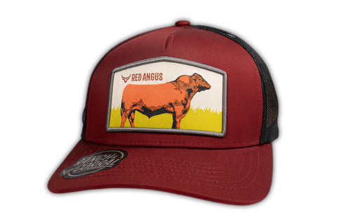 RANCH & CORRAL GANADERA RED ANGUS
