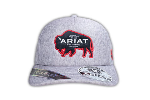 ARIAT BASIC