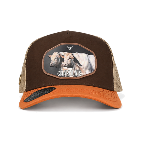 Gorra Ranch & Corral Charolais café con visera naranja, vista frontal. SKU 7506552413341.