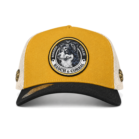 Gorra Ranch & Corral Border Collie, vista frontal. SKU 7506552413211.