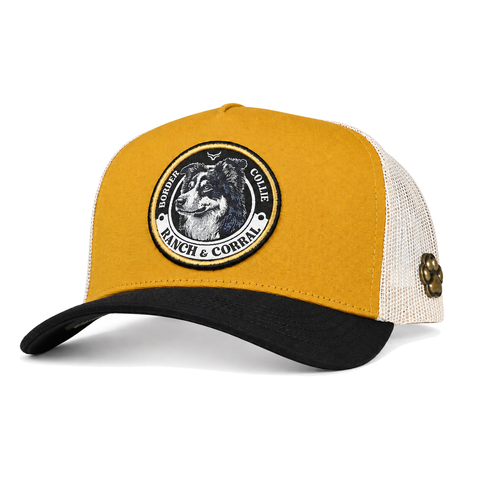 Gorra Ranch & Corral Border Collie, vista tres cuartos. SKU 7506552413211.