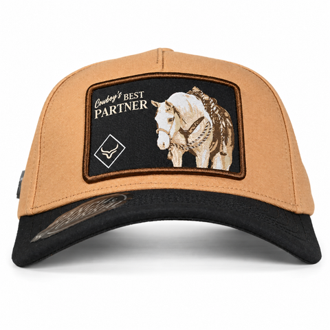 RANCH & CORRAL EQUUS RCE43 — frontal