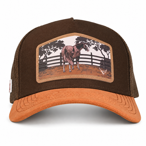 RANCH & CORRAL 11 NUEVO DROP — frontal