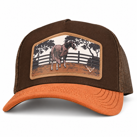 RANCH & CORRAL 11 NUEVO DROP — tres-cuartos