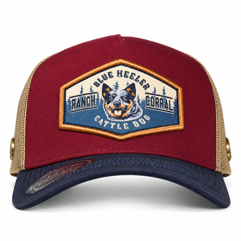RANCH & CORRAL ESPECIAL CE088 BLUE HEELER — frontal