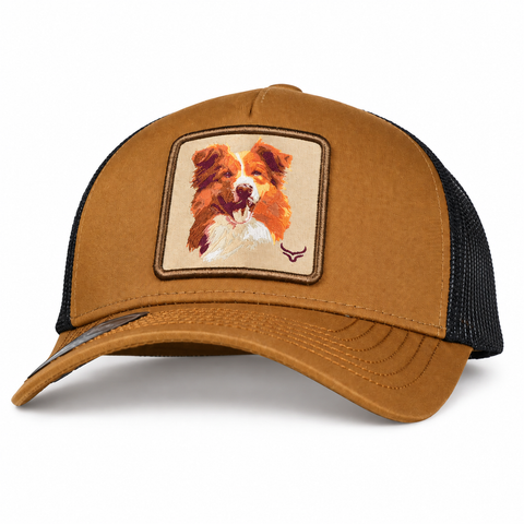 RANCH & CORRAL DOG BREEDS - tres-cuartos - 848910117