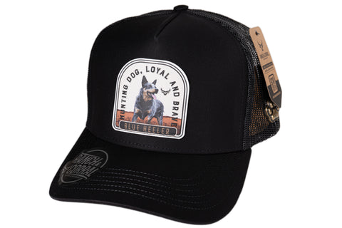 (PREVENTA) RANCH & CORRAL DROP GT RCDB31