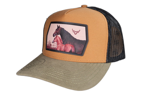 RANCH & CORRAL 12 NUEVO DROP
