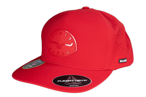 KIMES RANCH ELITE VICERA PLANA