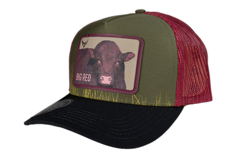 RANCH & CORRAL 14 NUEVO DROP