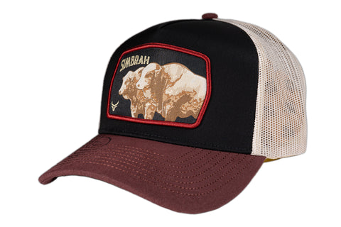 RANCH & CORRAL GANADERO CE001
