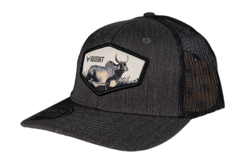 RANCH & CORRAL 21 NUEVO DROP