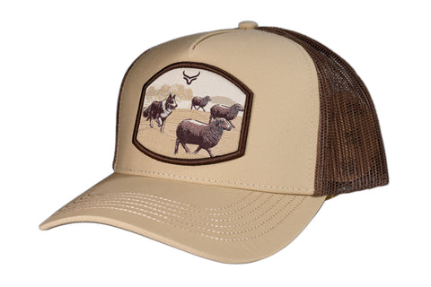 RANCH & CORRAL 7 NUEVO DROP