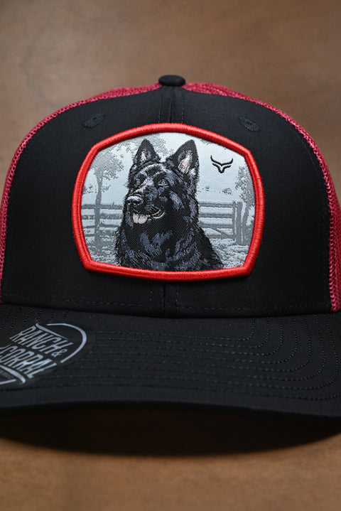 RANCH & CORRAL DOOG BREEDS CE009