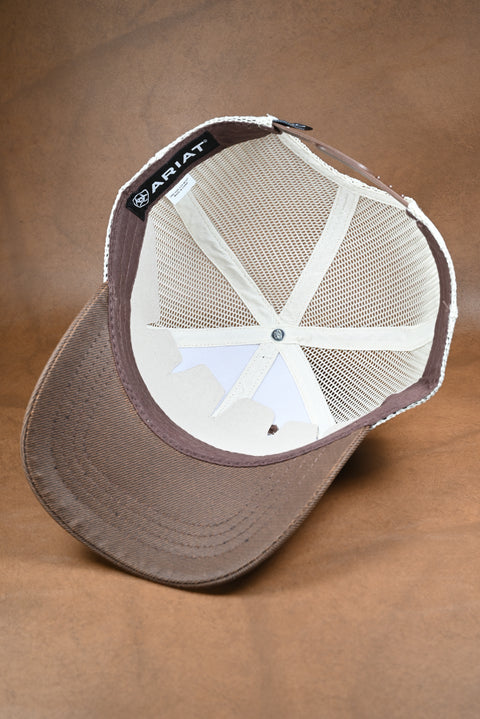 ARIAT BASIC