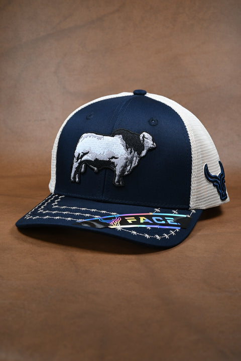 FACE BRAHMAN MARINO/BEIGE