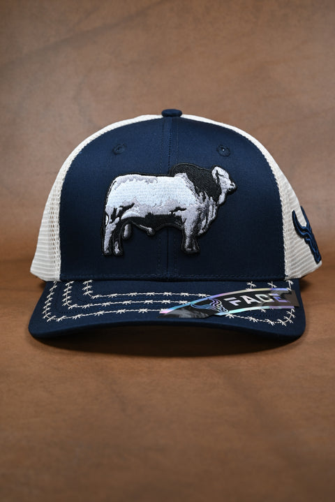 FACE BRAHMAN MARINO/BEIGE