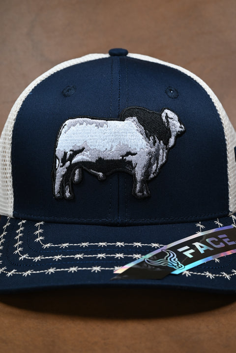 FACE BRAHMAN MARINO/BEIGE