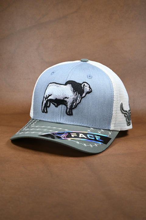 FACE BRAHMAN OLIVO/GRIS/CREMA