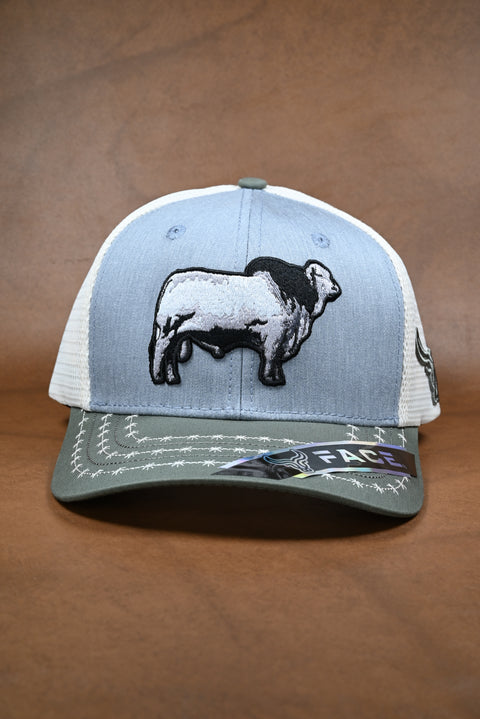 FACE BRAHMAN OLIVO/GRIS/CREMA