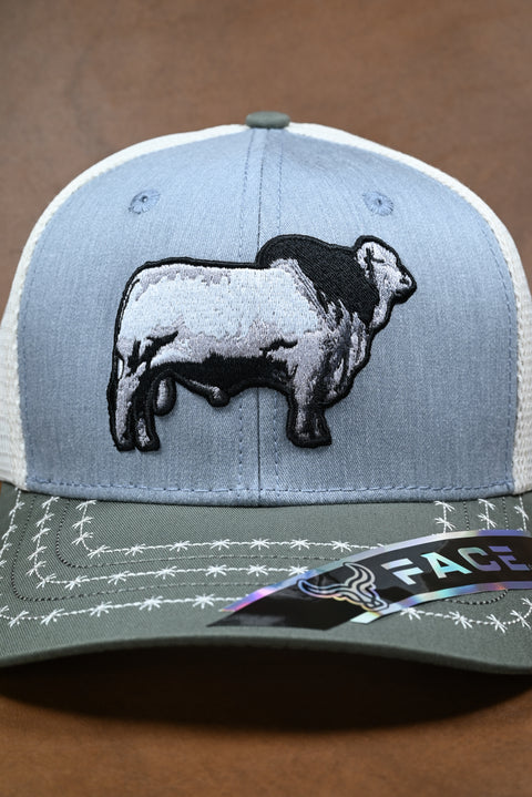 FACE BRAHMAN OLIVO/GRIS/CREMA