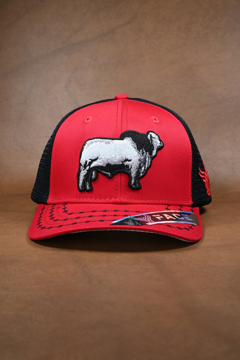 FACE BRAHMAN ROJO/NEGRO (NO MAYOREO)